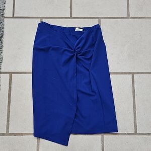 Elegant Blue Women's Skirt